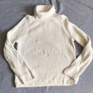 Lands end turtle neck